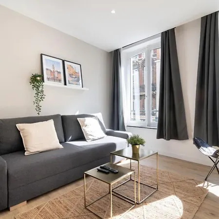 Hypercentre -apartment In Pedestrian Zone *