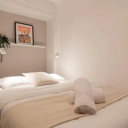 Apartment Hypercentre -apartment In Pedestrian Zone Lille