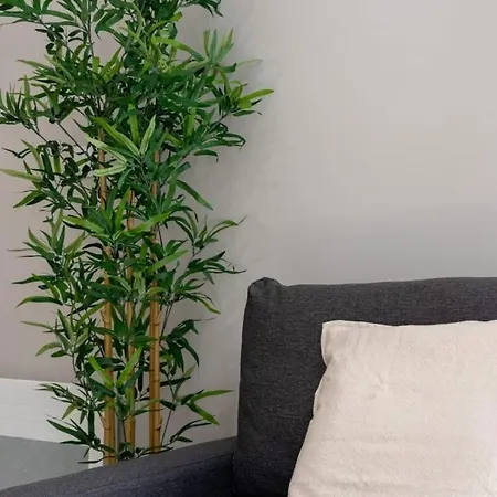 Hypercentre -apartment In Pedestrian Zone