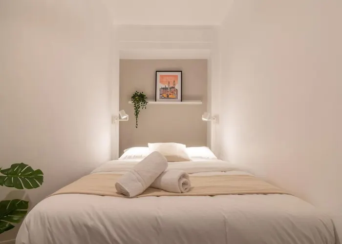 Hypercentre -apartment In Pedestrian Zone